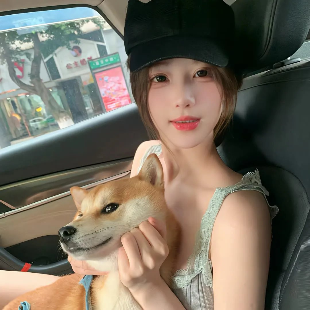 忠犬流浪记